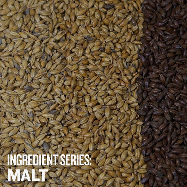 Ingredient Series: Malt - Video Course