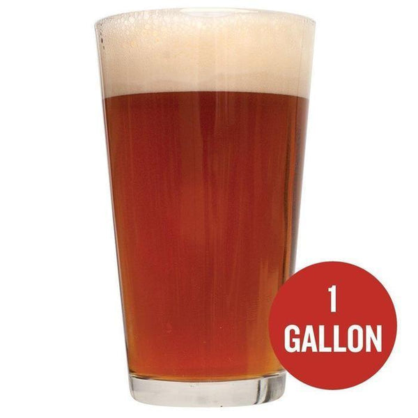 Irish Red Ale homebrew in a glass with a red circle containing the text "1 gallon"