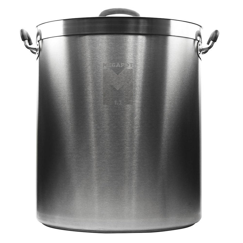 Twenty gallon stainless steel MegaPot 1.2™ Brew Kettle