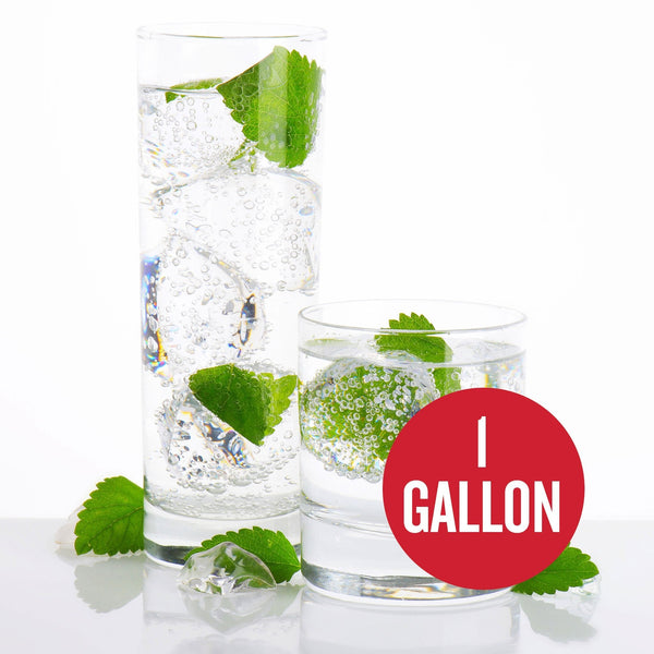 Mojito Hard Seltzer - 1 Gallon Recipe Kit