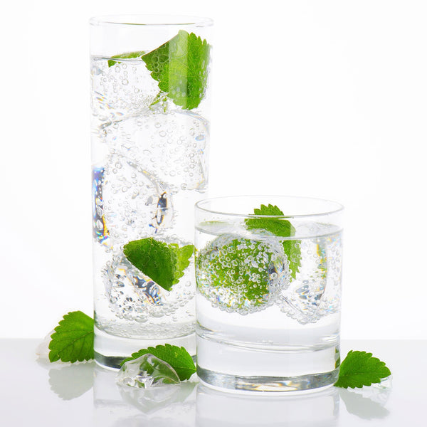 Mojito Hard Seltzer Recipe Kit