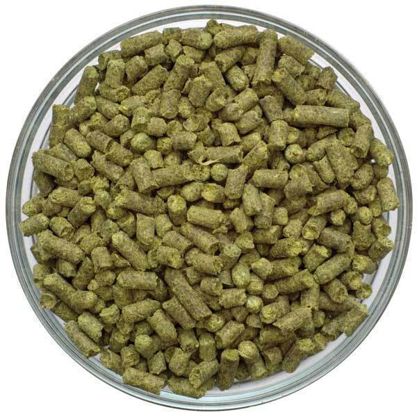 Citiva Hops Pellets in a bowl