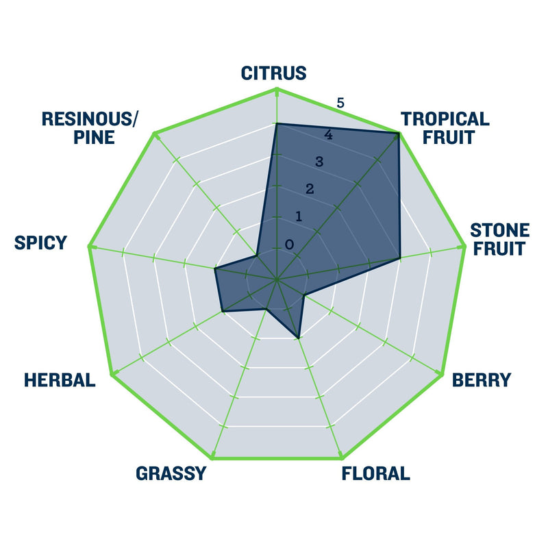 Zamba Hops Pellets spider graph pointing at strong tropical fruit