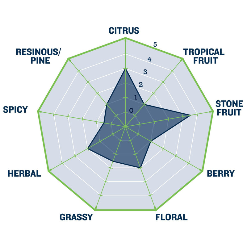 Evergreen Hops Pellets flavor profile graph