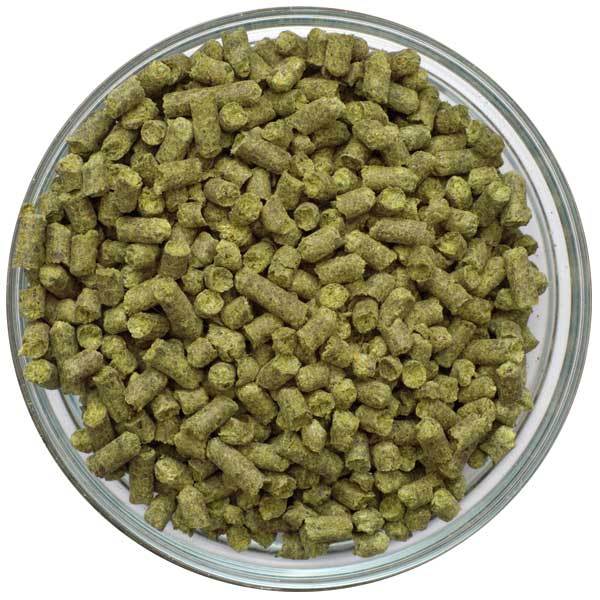 Bravo Hop Pellets in a display bowl