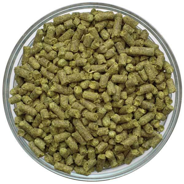 Detail view of Centennial Hop Pellets