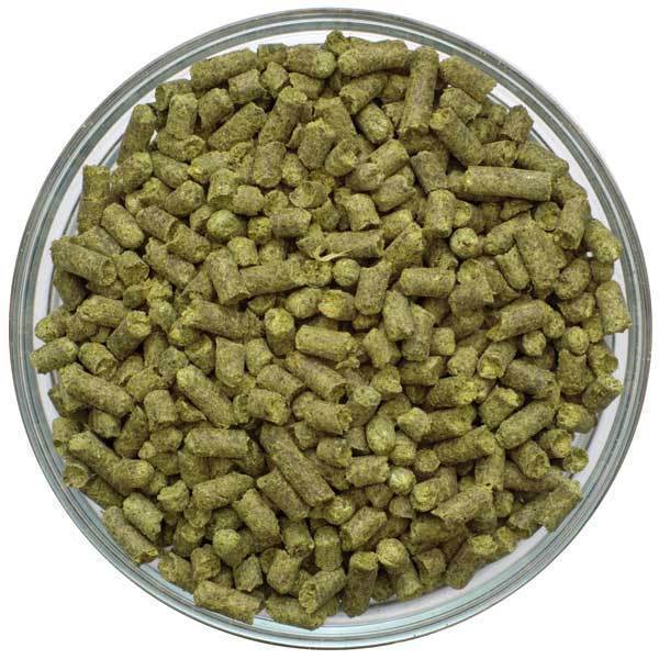 Taiheke Hops Pellets - New Zealand