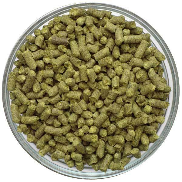 Bowl filled with Ekuanot Hop pellets