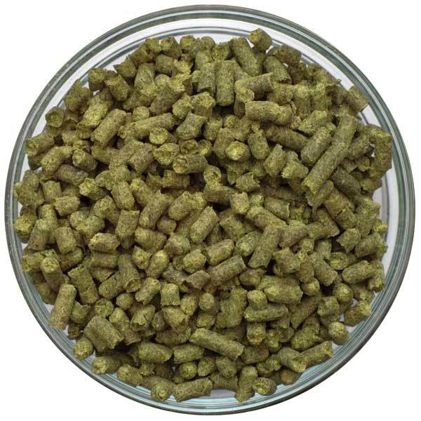 Bowl of Columbus Hop Pellets