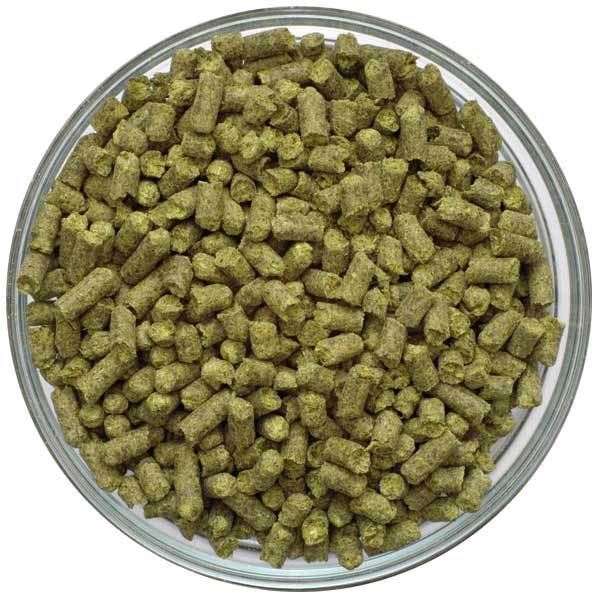 Czech Saaz Hop Pellets in a bowl