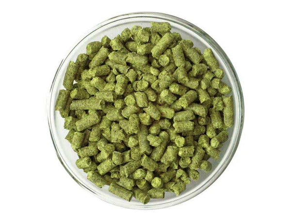 Small dish of German Hallertau Blanc Hop Pellets