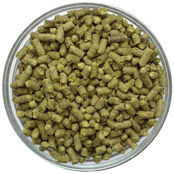 Galena Hop Pellets in a dish