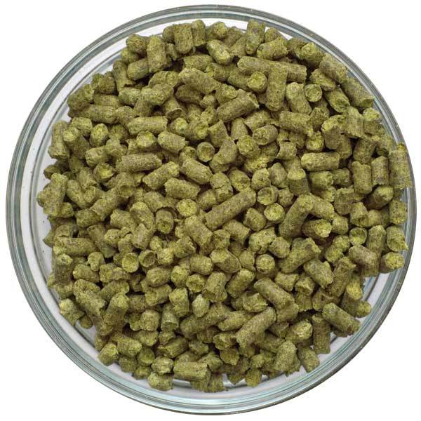 Dish of German Hersbrucker Hop Pellets