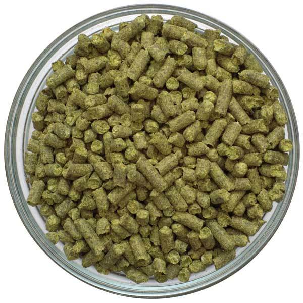Detail view of German Northern Brewer Hop Pellets