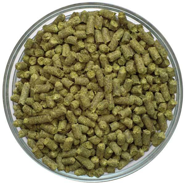 German Perle Hop Pellets in a viewing bowl