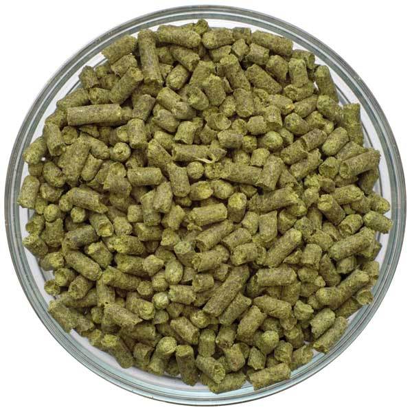Bowl of German Tettnang Hop Pellets