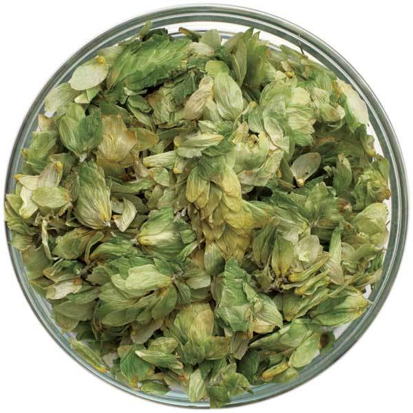 Detail view of Cascade Leaf Hops