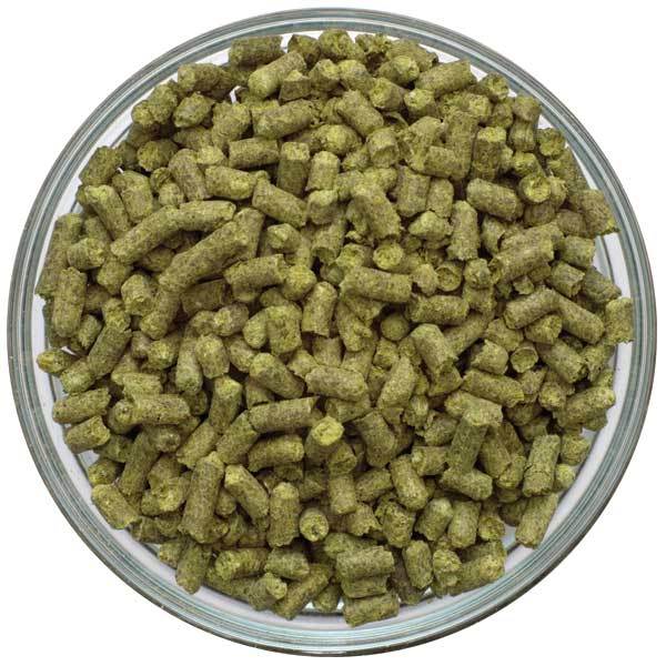 Dish of Liberty Hop Pellets