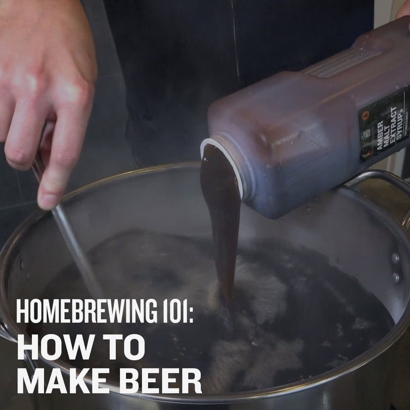 Homebrewing 101: How to Make Beer - Video Course