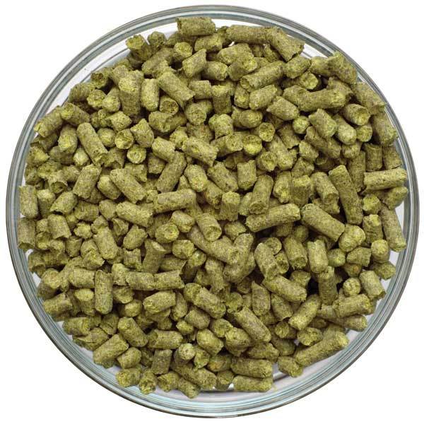 Bowl filled with Sterling Hop Pellets