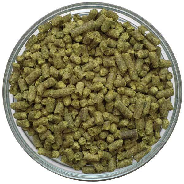 US Goldings Hop Pellets in a bowl