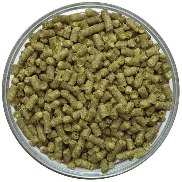 Bowl filled with Willamette Hop Pellets